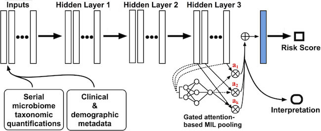Schematic used to identify infants at high-risk for NEC